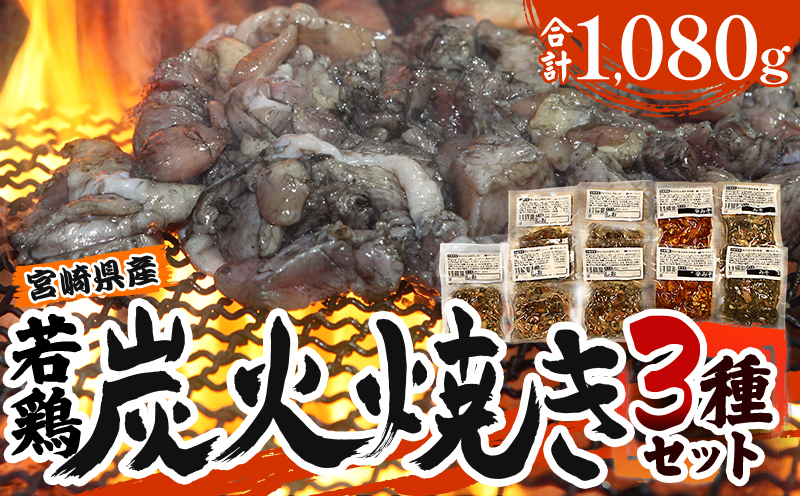 宮崎「小料理ひゅう」県産若鶏炭火焼き3種 計1.08kg_M210-004_03