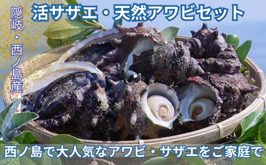 
                  はじめての西ノ島町の寄付の方はもちろん、リピーターの方も実は多い！【数量限定】西ノ島町 極上活アワビ（天然）＆活サザエ 食べ比べセット　西ノ島町が誇る逸品！　天然  新鮮 美味しい ギフト 贈与 贈り物
                