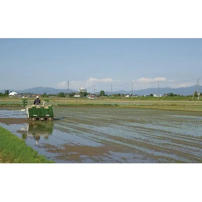 コシヒカリ 特別栽培米 5㎏ 新潟県産 こしひかり