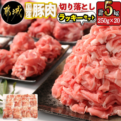 国産豚肉切り落とし5kgラッキーセット_17-3605