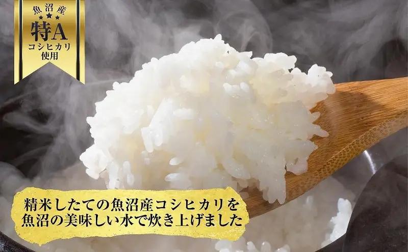 新潟県 魚沼産 備蓄 コシヒカリ ご飯 200g×30 パック ごはん レンジ 簡単 巣籠り 無添加 パックご飯 ごはんパック ブランド米 便利 簡単調理 温めるだけ 