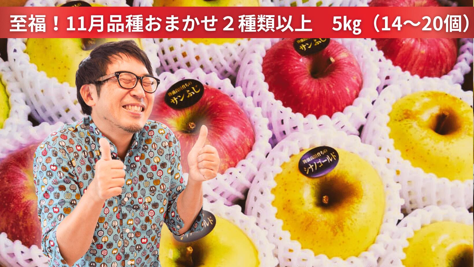 【ふるさと納税】米崎りんご ぎゅっとセット 5kg ( 14〜20個 ) 品種おまかせ 2種以上 [ りんご リンゴ 林檎 旬 フルーツ 果物 おすすめ 人気 詰め合わせ セット ギフト 贈答品 ジョナゴールド 紅いわて シナノゴールド 王林 岩手 陸前高田 ]