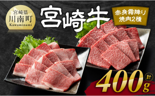 
宮崎牛 赤身 霜降り 焼肉 2種 400g【肉 牛肉 国産 宮崎県産 黒毛和牛 和牛 焼肉 やきにく BBQ 4等級 A4ランク うで 肩ロース ロース E11105】
