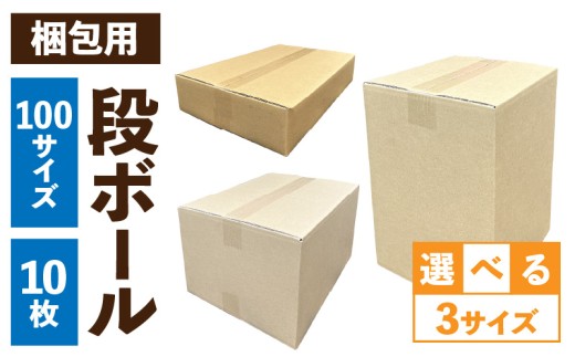 梱包用段ボール　100サイズ　10枚 ［206A02］ 梱包用 段ボール セット 選べる サイズ 規格 コンパクト 扱いやすい 段ボール箱 梱包 衣類 収納 片付け 整理 DIY 工作 荷物 引っ越し 防災 備蓄 便利 フリマ 通販 配送 荷造り お取り寄せ 愛知県 小牧市 送料無料