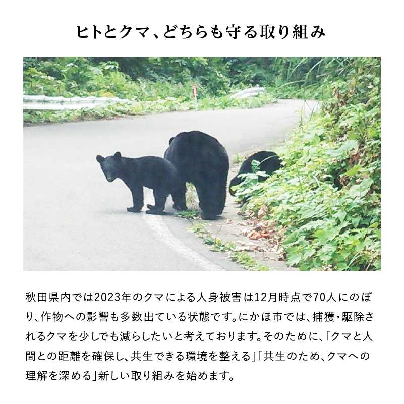 《クマといい距離プロジェクト》共生活動企画 ひとめぼれ 10kg(5kg×2袋)精米 白米