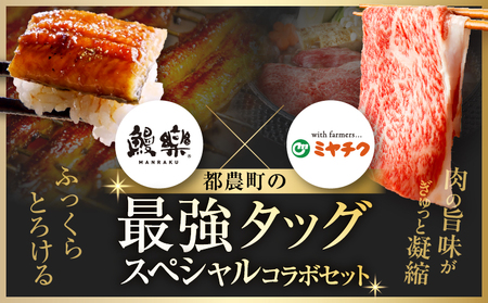 ≪数量限定≫うなぎ×黒毛和牛(経産牛) 都農町最強セットD 肉 牛 牛肉 おかず 国産_T030-074【人気 鰻 牛肉 ギフト鰻 牛肉 食品 鰻 牛肉 すき焼き 鰻 牛肉 しゃぶしゃぶ 鰻 牛肉 B