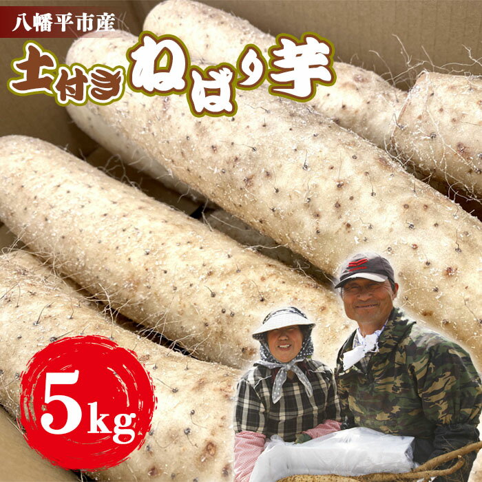 【ふるさと納税】 山芋 長芋 岩手県産 土付き ねばり芋 5kg 松浦農園 ／ ねばりいも 野菜 長いも ながいも 山いも やまいも やま芋 農家直送 産地直送 とろろ とろろご飯 ご飯のおとも ご飯のお供 旬 新鮮 期間限定 季節限定 八幡平市産 おすすめ 岩手県 八幡平市 送料無料