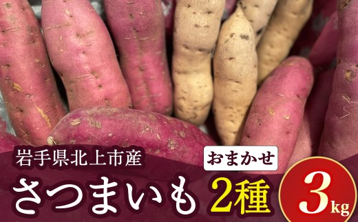 【 2026年産９月下旬～発送予定 】 さつまいも 2種類 3kg　（ シルクスイート 、 パープルスイート 、 ハロウィンスイート 、 紅あずま 、 紅はるか 、 安納芋 、 鳴門金時 等から 2品種 詰め合わせ ） 国産 サツマイモ セット さつま芋 野菜  岩手県 北上市 齋藤 智仁 B0399 産地直送