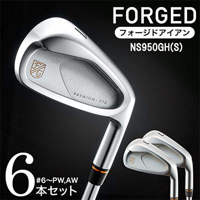 ふるさと納税 市川町 PREMIUM-216 CAVITY #6〜Pw,Aw(NS950 S) 520BE06N