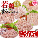 【ふるさと納税】＜宮崎県産若鶏まるごとセット 約3.05kg＞ 国産 鶏 肉 精肉 モモ もも肉 使いやすい パック 真空冷凍 切り身 選べる数量 お弁当 惣菜 からあげ 照り焼き 数量限定 BBQ バーベキュー 鶏ムネ 鶏むね 鳥モモ ささみ ササミ 小分け 【MI443-tr】【TRINITY】