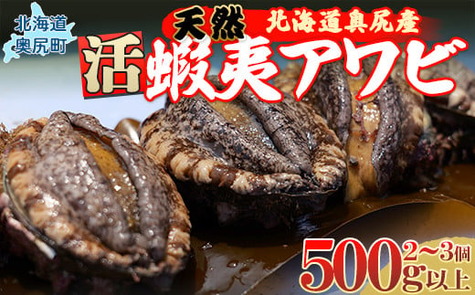 
【先行予約】奥尻産天然アワビ500ｇ以上 【 ふるさと納税 人気 おすすめ ランキング あわび アワビ 鮑 貝 天然 魚介 蝦夷アワビ 新鮮 活あわび 活アワビ 北海道 奥尻町 送料無料 】 OKUF012
