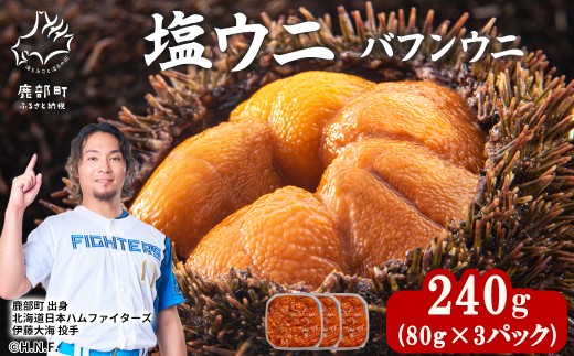 塩うにギフトセット 240g (80g×3P) バフンウニ ミョウバン不使用 塩蔵うに