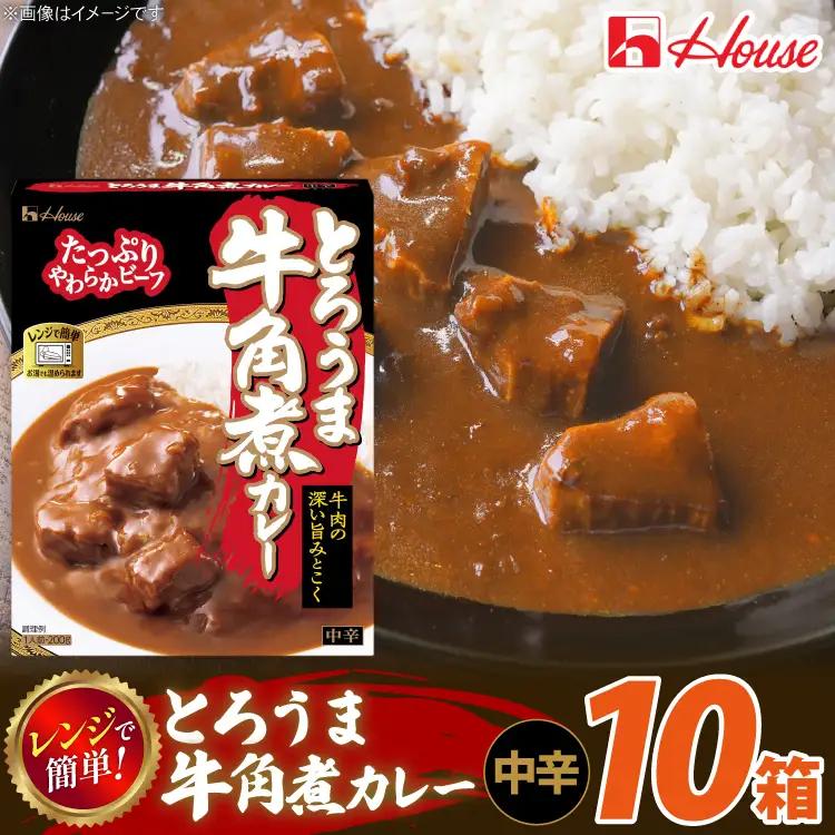 ハウス とろうま牛角煮カレー 中辛 10個 [翔栄通商 愛知県 江南市 ko23btu570039]