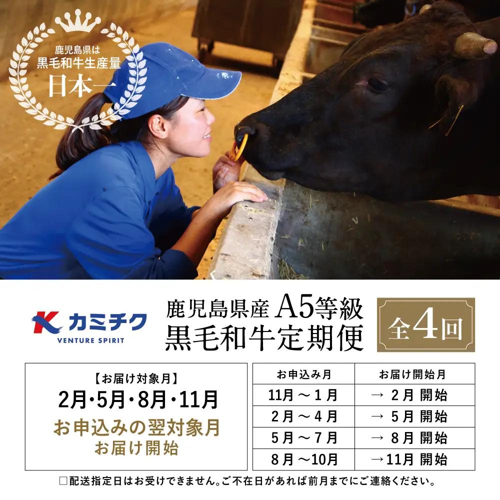 【特撰定期便 全4回】A5等級鹿児島黒毛和牛定期便 A5 A5等級 ステーキ サーロイン 赤身 ヒレ バラ 焼肉 BBQ ブロック肉 ロース肉 すき焼き しゃぶしゃぶ お肉 鹿児島県産 カミチク 黒毛