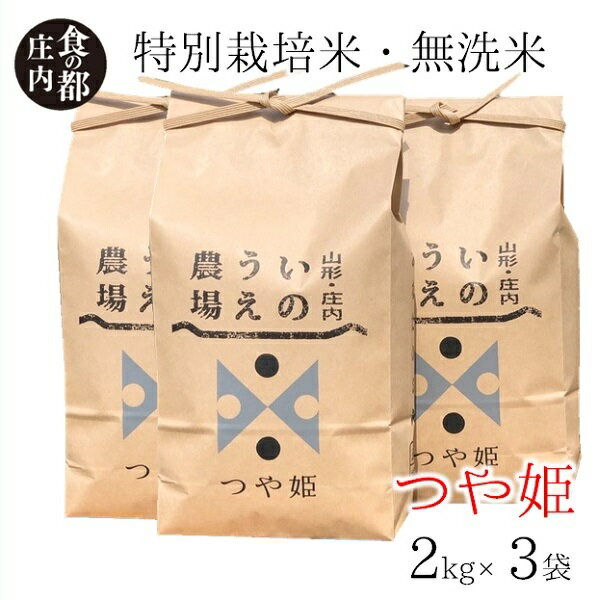 【ふるさと納税】食の都庄内　井上農場の【無洗米（精米）】特別栽培米つや姫6kg（産直出前便）