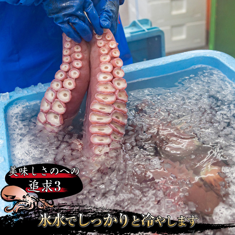 【12/22まで年内お届け】みなとのタコキムチ＜北海道釧路町 昆布森産タコ使用＞300g×1コ 年内配送 年内発送 北海道 釧路町 釧路超 特産品_イメージ5