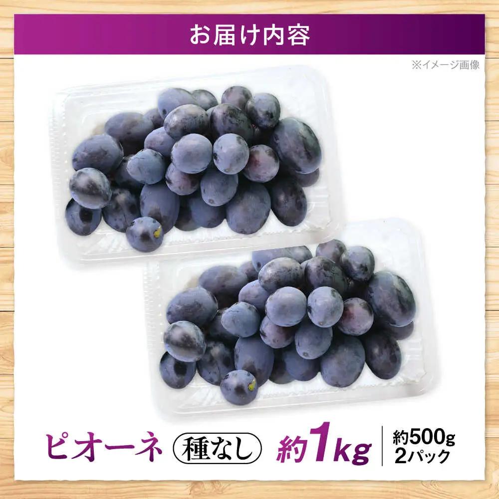 ぶどう ピオーネ 約1kg 訳あり [APCM006] 葡萄 ブドウ フルーツ
