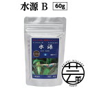 【ふるさと納税】 水源 B 60g 小型魚用 ＜最高級 フィッシュフード EPA・DHA配合 細粒タイプ 魚 餌＞メダカ タナゴ など 小型魚【餌 えさ エサ】【観賞魚 餌やり】【水槽/熱帯魚/観賞魚/飼育】【生体】【アクアリウム/あくありうむ】