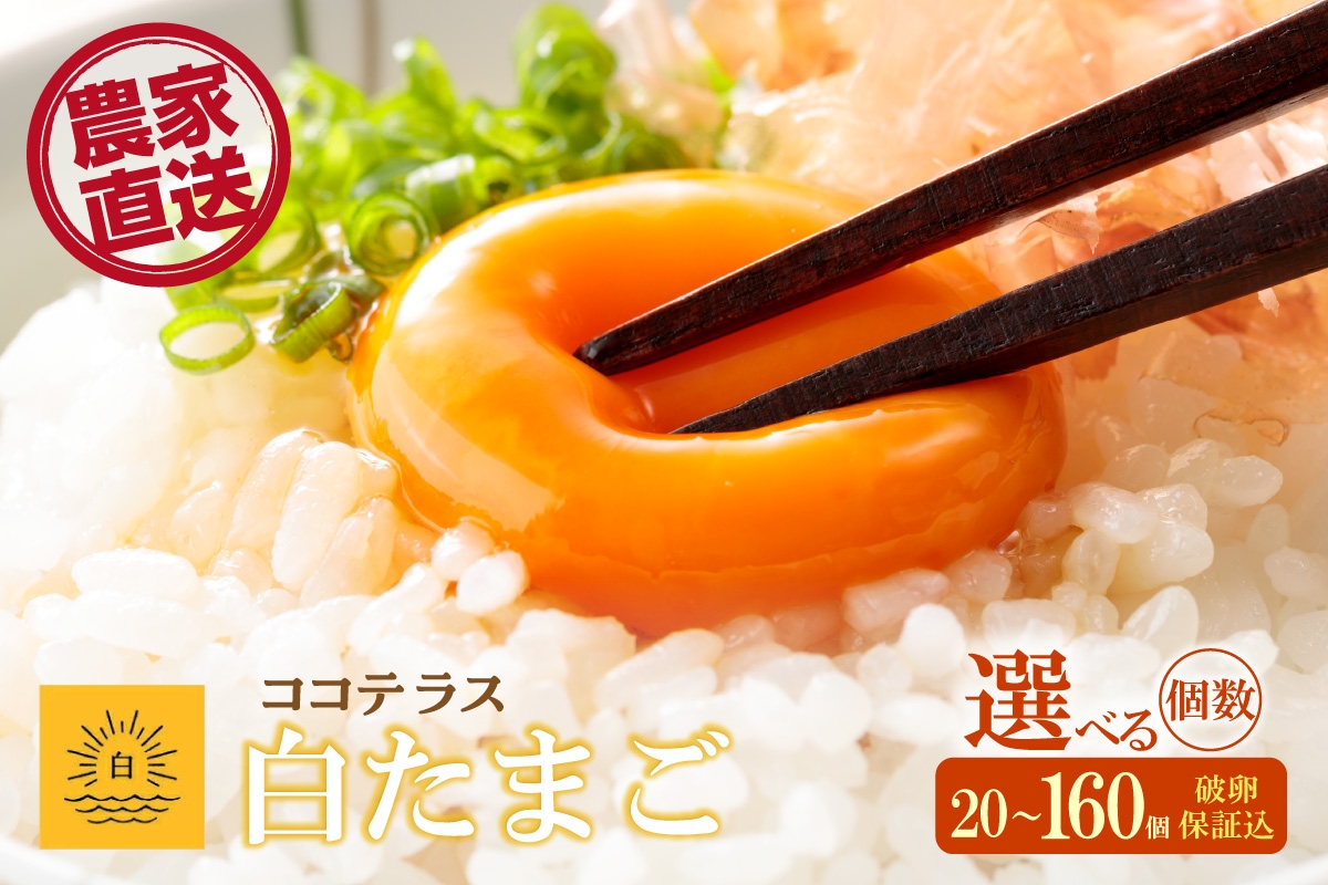 
            ココテラスの朝日（白たまご）単品　20個から160個　選べる個数【JGAP認証】
          