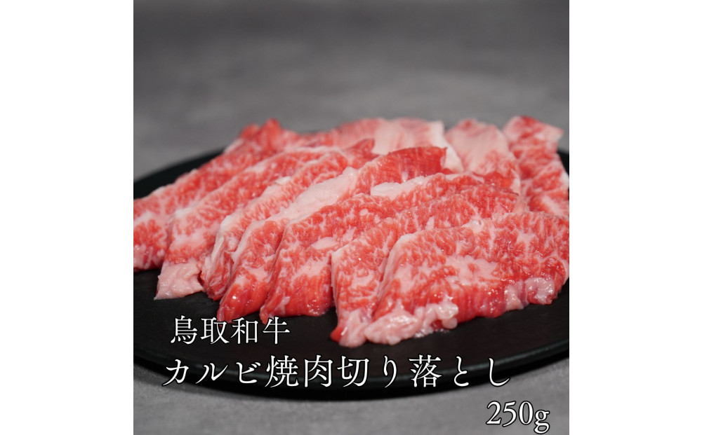 鳥取和牛カルビ焼肉切り落とし　250ｇ 313726_DC005