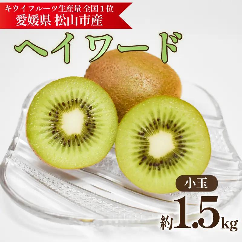 キウイフルーツ ヘイワード 約1.5kg キウイ【KNN013】
