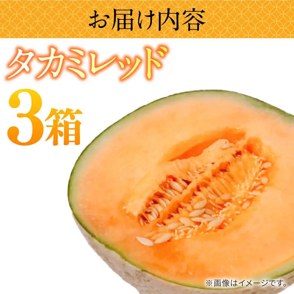 【2027年5月-発送】タカミメロン レッド 3箱（1箱 3?6玉） / メロン めろん フルーツ 果物 / 南島原市 / 南島原果物屋[SCV033]