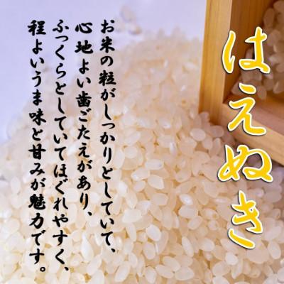 ふるさと納税 小国町 【令和8年産米先行予約】山形県小国町産　はえぬき5kg　小国米穀商業協同組合 |  | 01
