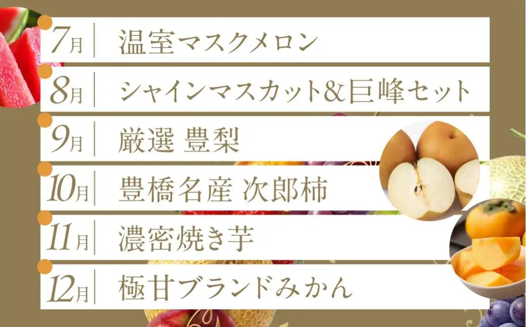 フルーツ定期便 12回 プレミアム 果物 どうまい