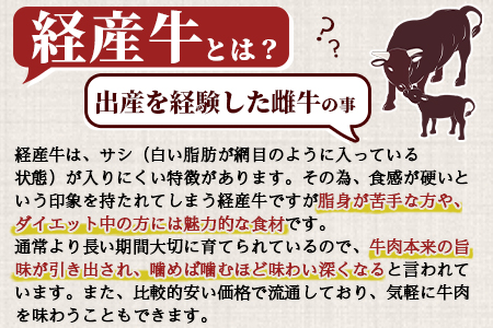 ＜宮崎県産黒毛和牛（経産牛）ヒレステーキ4枚＞(計約600g・約150g×4P)マキシマムスパイス(小袋)付き 国産 九州産 牛肉 精肉 ヒレ フィレ 赤身 希少部位 ステーキ 焼肉 アウトドア 調味