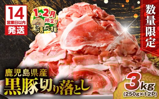 【14営業日以内に発送】【数量限定】鹿児島県産 黒豚切り落とし 3kg　K025-001_06