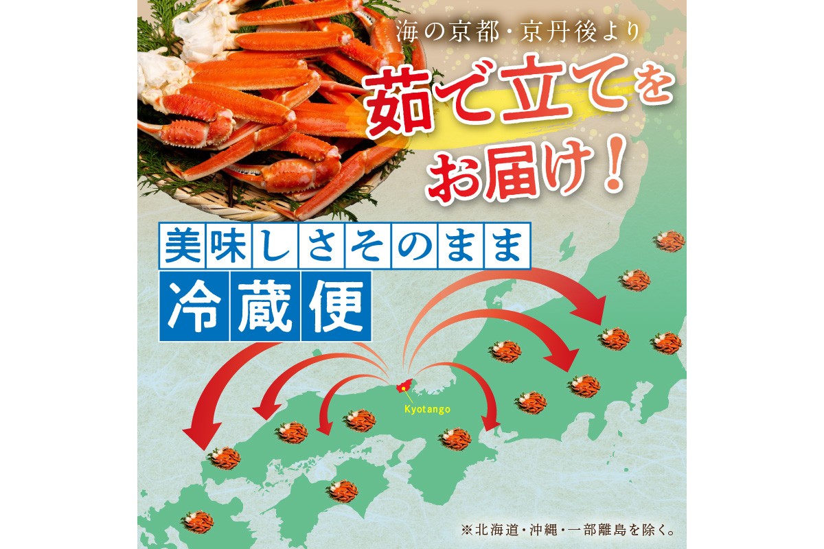 【大好評！カニ酢付き】厳選！！釜茹で　本ズワイガニ　２Lサイズ4肩　YK00309
