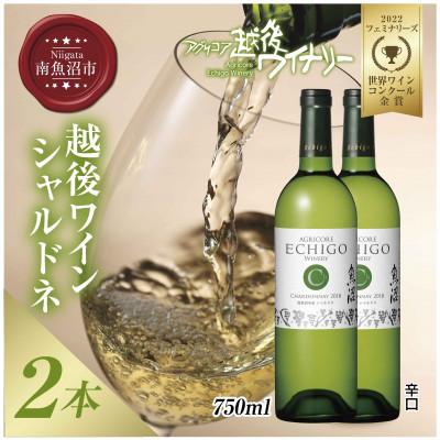 ふるさと納税 南魚沼市 越後ワイン シャルドネ 白 750ml 2本セット 越後ワイナリー 辛口 魚沼ワイン 南魚沼市