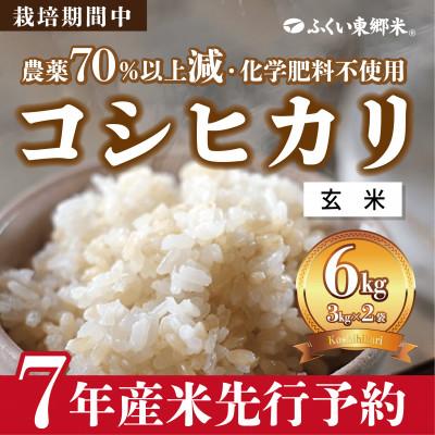 ふるさと納税 福井市 令和7年産 ふくい東郷米 特別栽培米 栽培期間中農薬70%減コシヒカリ 玄米3kg×2袋【真空袋】