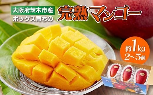 
            大阪茨木 小川農園の《贈答用》完熟マンゴー約1kg〈2～3個入〉＜R8年7月中旬発送開始＞【1229124】
          