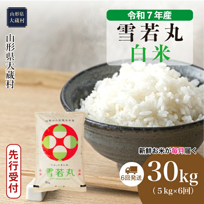 【ふるさと納税】＜令和7年産米先行受付＞ 大蔵村 雪若丸 ＜白米＞ 30kg定期便（5kg×6回お届け）