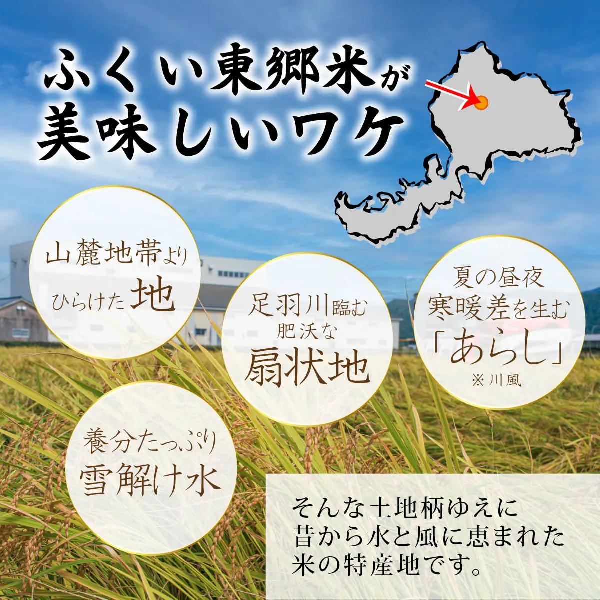【先行予約】【白米】【定期便6ヶ月連続】令和8年産 新米 ふくい東郷米 特別栽培米 農薬70％減 コシヒカリ 6kg(3kg×2袋)×6ヶ月 合計36kg[J-020023_01]