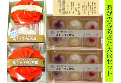 お菓子の龍宝堂 もちもち大福盛りだくさんセット 2B04022