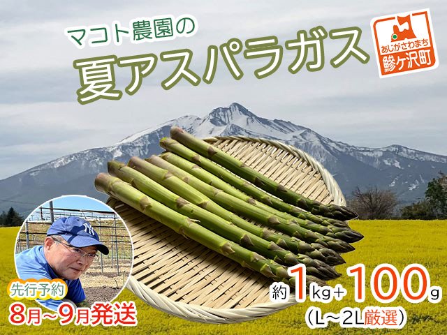 アスパラガス 先行予約 夏アスパラガス 約1kg+100g L～2L 約30本前後 厳選 マコト農園 アスパラ グリーンアスパラ 野菜 夏 旬 旬の野菜 産地直送 2026年 2026 先行 予約 青森 冷蔵 冷蔵配送 8月～9月発送