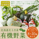 【ふるさと納税】【JAS認定有機野菜】北斗市産 有機野菜8～10種類野菜セット 紙箱入(季節で種類が変わります) 【 ふるさと納税 人気 おすすめ ランキング 野菜 詰め合わせ セット ベジタブル アラカルト 有機野菜 有機栽培 南瓜 北海道 北斗市 送料無料 】 HOKB019