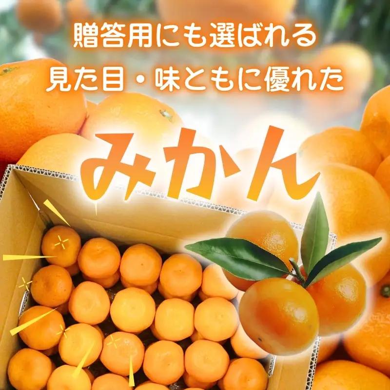 先行予約 2026年11月下旬より発送 【 農林水産大臣賞受賞 】 甘さが違う極上みかん 5kg 