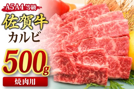 佐賀牛 カルビ 焼肉用 500g A5 A4 【期間限定 希少 国産和牛 牛肉 肉 牛 焼肉】(H085176)