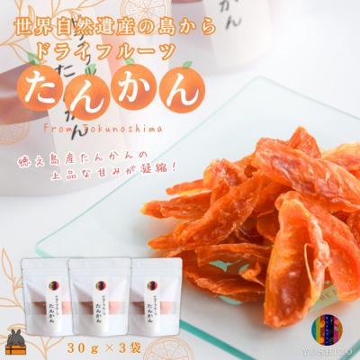 ふるさと納税 徳之島町 〜柑橘の爽やかな甘み凝縮!〜徳之島産ドライフルーツたんかん(3袋)