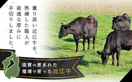【11月発送】近江牛ヒレステーキ 750g（4～5枚）