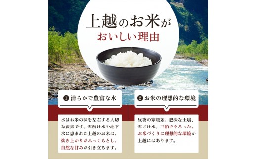 【令和8年産 先行予約】 新之助 無洗米 新潟県 上越産 20kg (5kg×4) 12か月 定期便 しんのすけ 五つ星お米マイスターのいるお店 お米 精米 米 ご飯 大黒屋商店