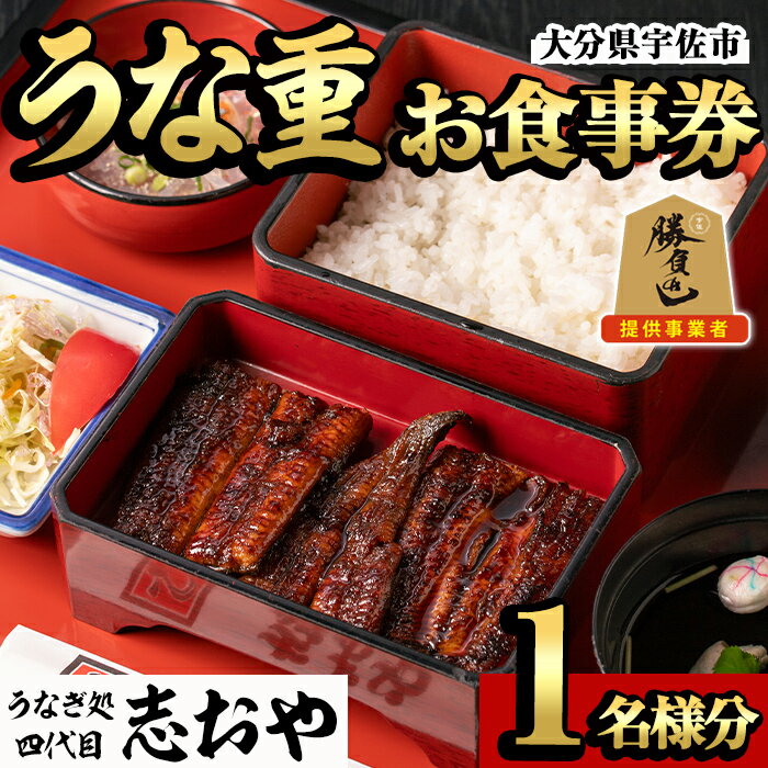 【ふるさと納税】うなぎ処 四代目 志おや うな重お食事券(うな重特・うな丼特もしくは蒲焼・白焼き松(持ち帰りは鰻弁当特・蒲焼・白焼きの松より1点))チケット 食事券 うなぎ 鰻 志おや【109400600】【志おや】