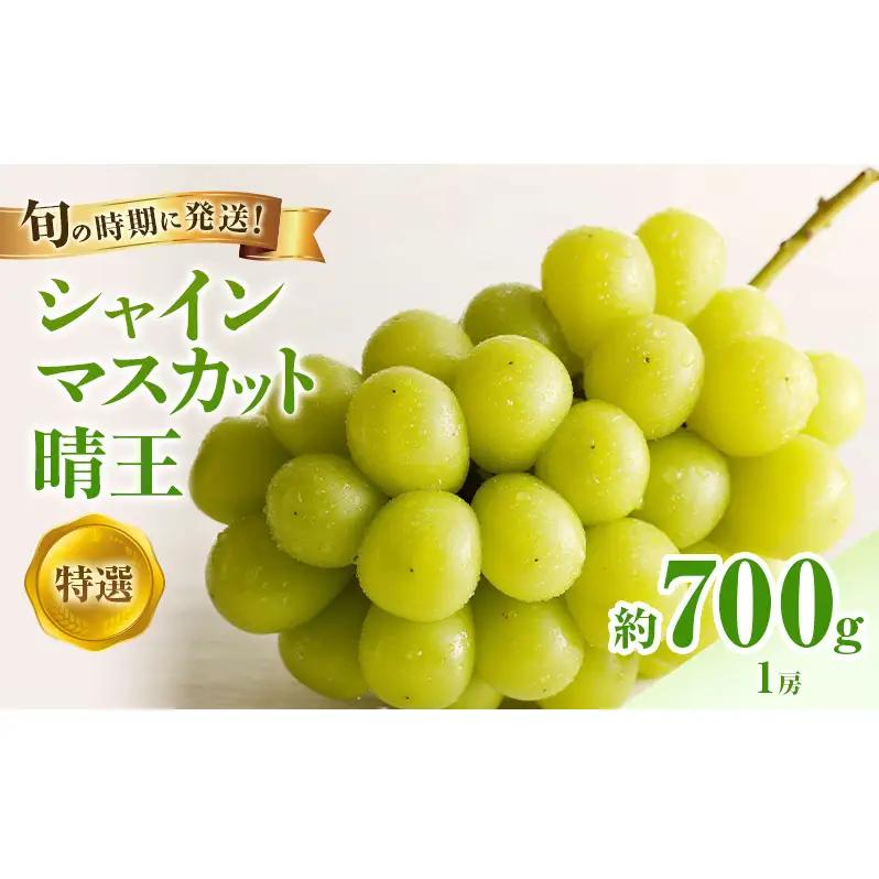 【2026年先行受付】 シャインマスカット 晴王 特選 大房 約700g 1房  岡山県産 シャインマスカット