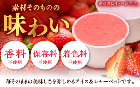 【先行予約】苺好きが夢中！THE ICHIGO プレミアム苺アイスクリーム＆シャーベット 計8個  / いちご イチゴ アイス デザート / 佐賀県 / さかもとさんの畑［41ABAA020］いちご 