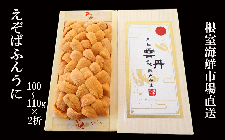 エゾバフンウニ（黄系）100～110ｇ×2折【2026年1月中旬以降発送】 F-14032