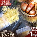 【ふるさと納税】栗の粒 200g 500g 1kg RICO DOLCE 《60日以内に発送予定(土日祝除く)》 熊本県 球磨郡 山江村 スイーツ お菓子 洋菓子 栗 くり トッピング アレンジ 料理