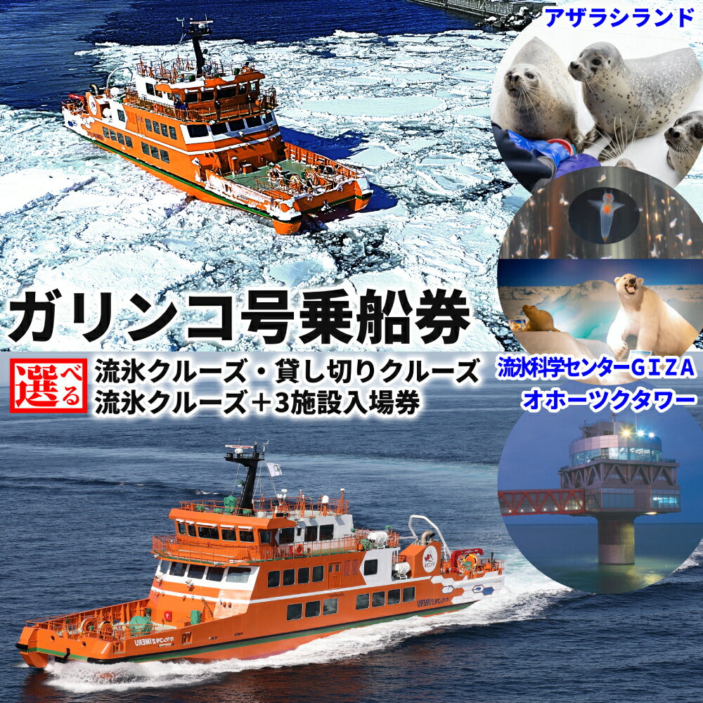【ふるさと納税】ガリンコ号3 IMERU 乗船券 施設入場券 貸し切りクルーズ | 選べる 体験 流氷 流氷クルーズ アザラシ オホーツクタワー 流氷科学センター クリオネ